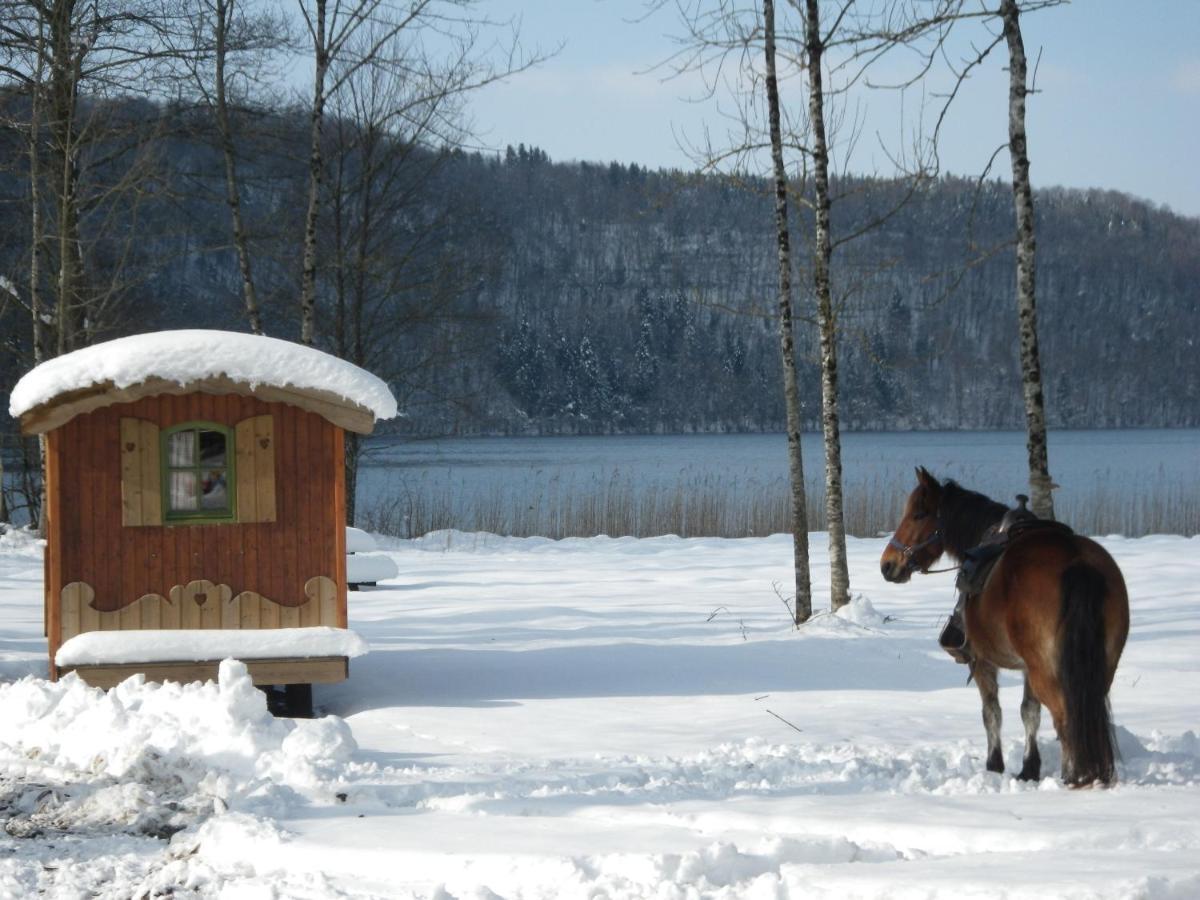 Вилла Parc Animalier Du Herisson Дусье Экстерьер фото